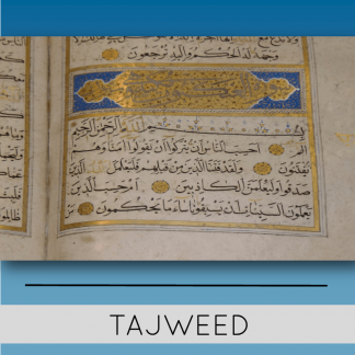Tajweed (the science of reading the Qur'an with proper articulation)